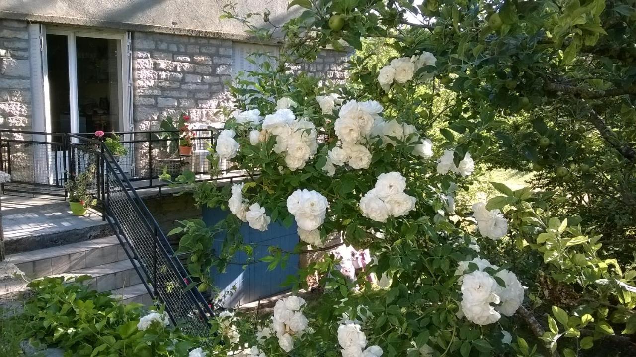 Au Domaine Des Oiseaux Bed & Breakfast Montredon  Exterior photo