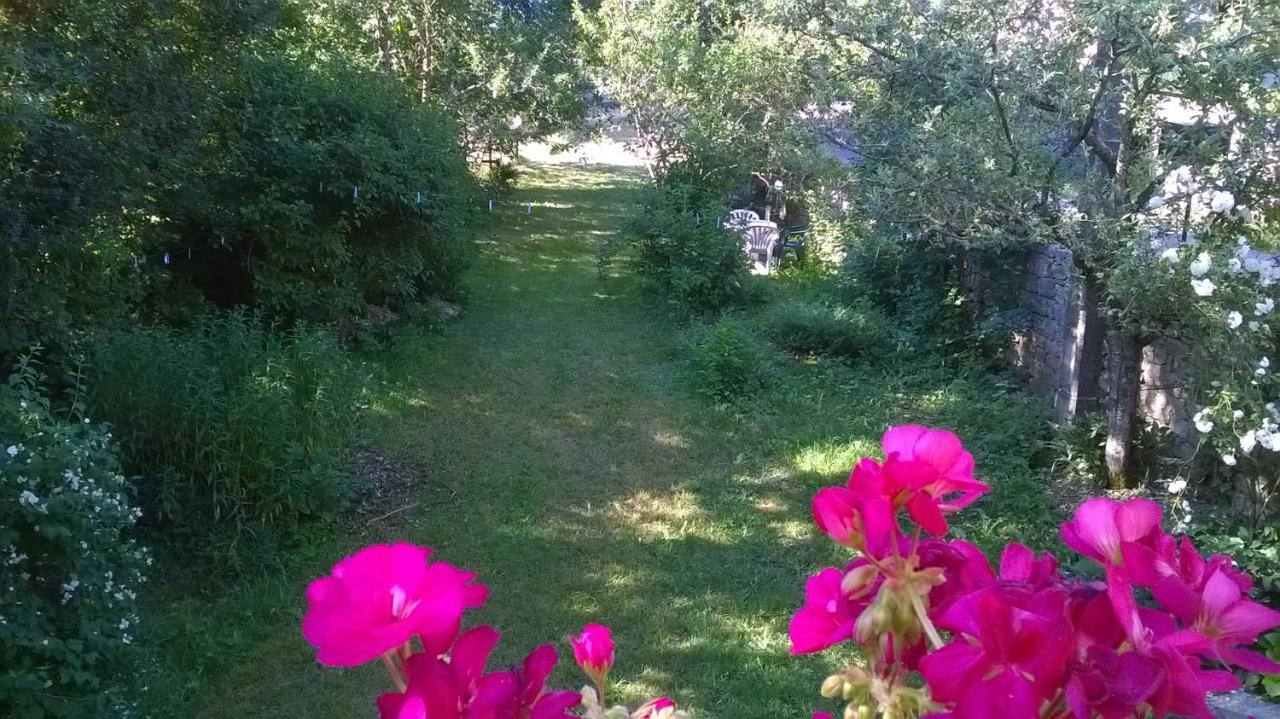 Au Domaine Des Oiseaux Bed & Breakfast Montredon  Exterior photo