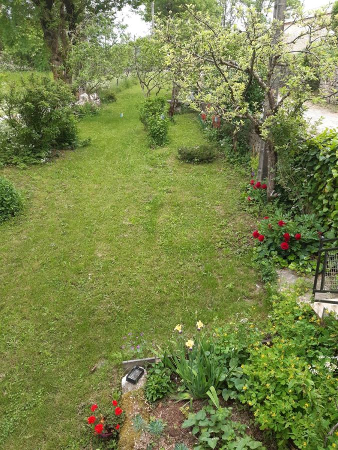 Au Domaine Des Oiseaux Bed & Breakfast Montredon  Exterior photo