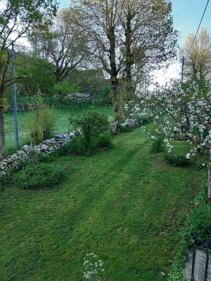 Au Domaine Des Oiseaux Bed & Breakfast Montredon  Exterior photo